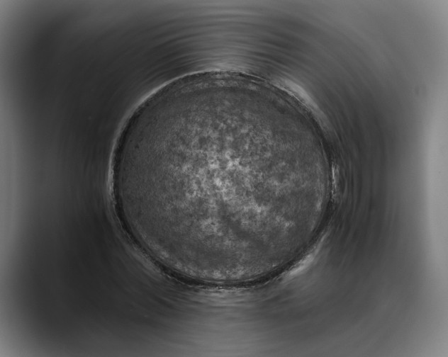 X0000089690780200707121335