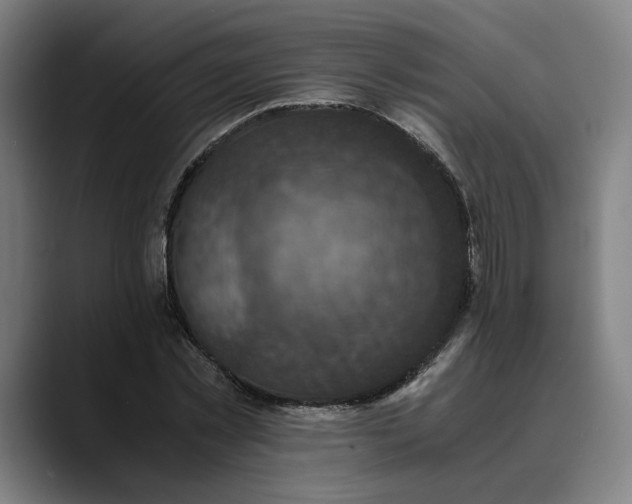 X0000089690781200707121335