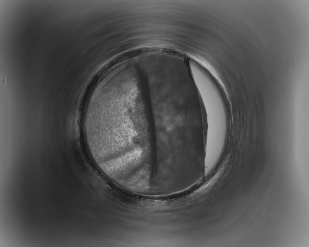 X0000089690783200707121335