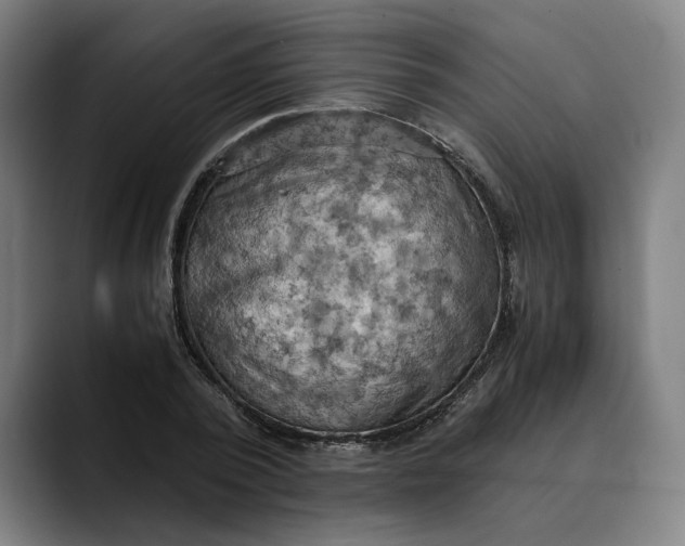 X0000089690784200707121335