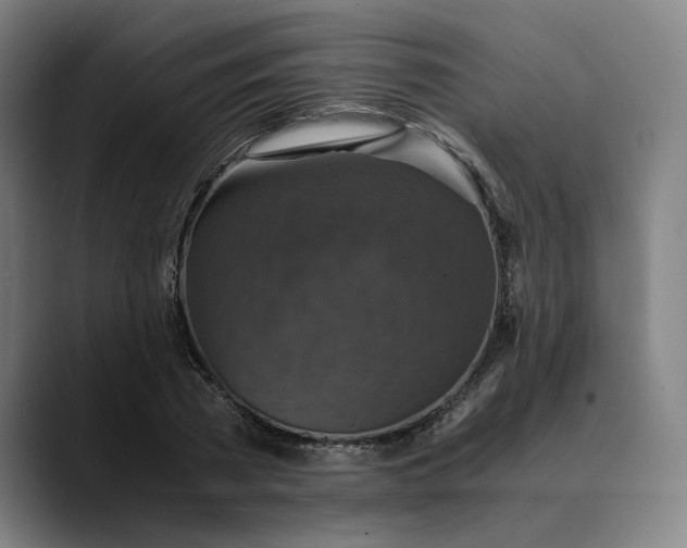 X0000089690785200707121335