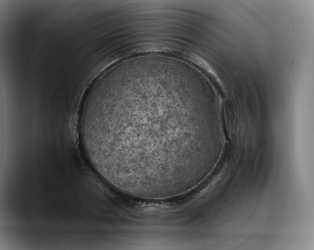 X0000089690786200707121335