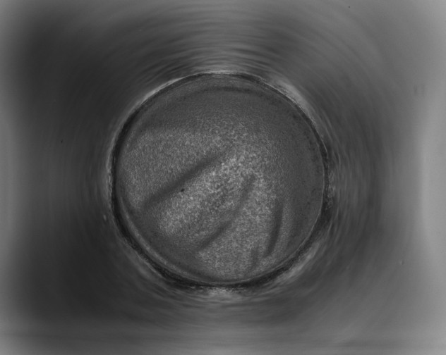 X0000089690787200707121335