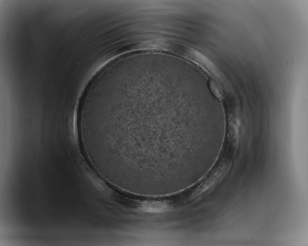 X0000089690788200707121335