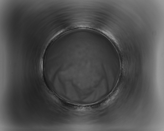 X0000089690790200707121335