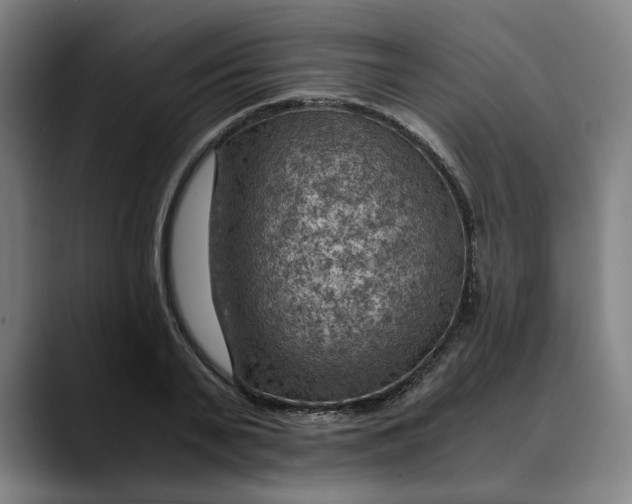 X0000089690791200707121335