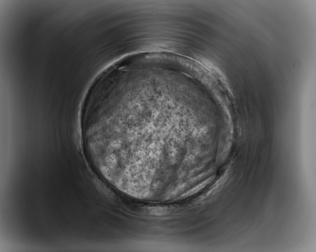 X0000089690792200707121335