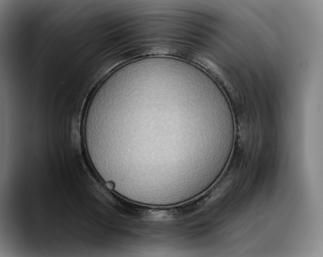 X0000089690794200707121335