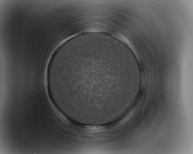 X0000089690795200707121335