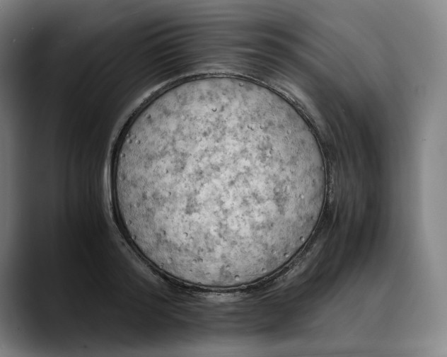 X0000089690796200707121335