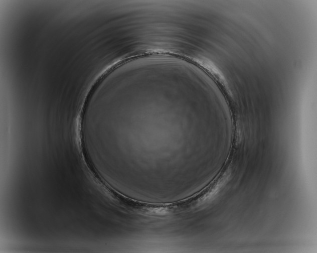 X0000089690798200707121335