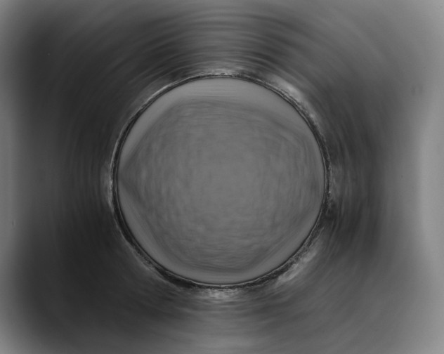 X0000089690802200707121335