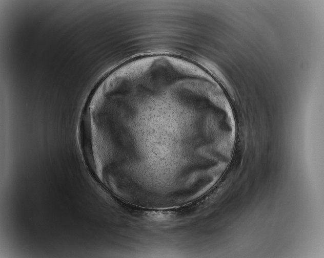 X0000089690805200707121335