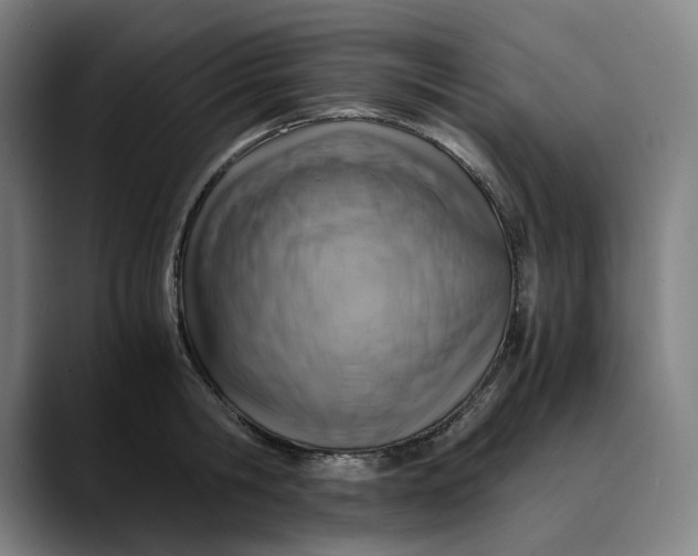 X0000089690806200707121335