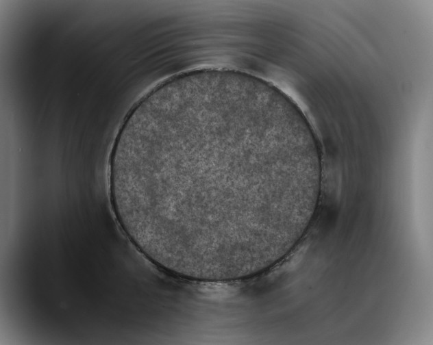 X0000089690807200707121335