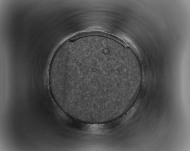 X0000089690808200707121335