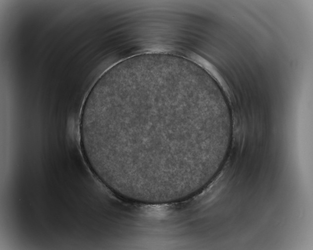 X0000089690810200707121335