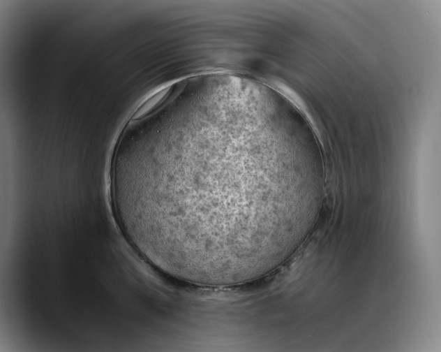 X0000089690811200707121335