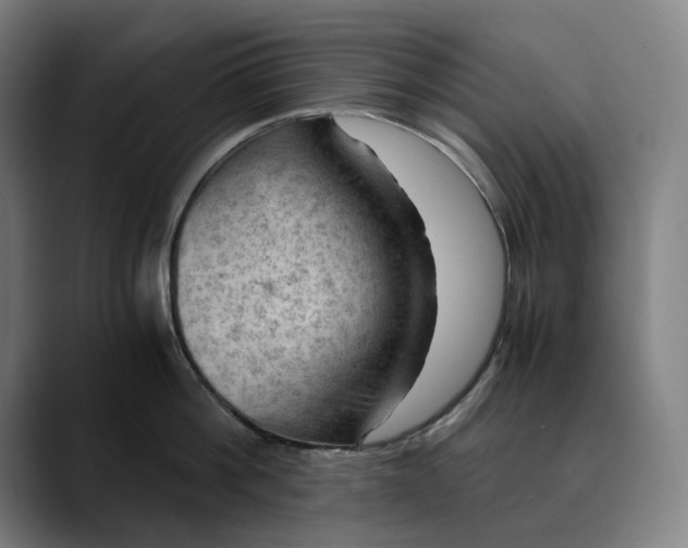 X0000089690812200707121335