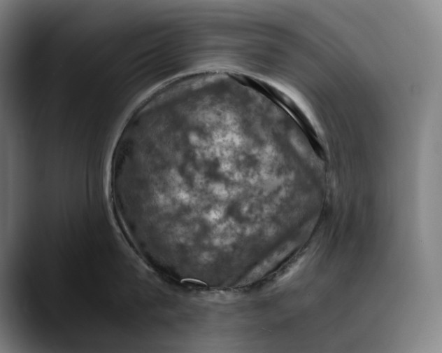 X0000089690815200707121335