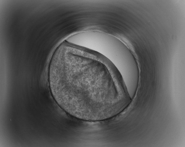 X0000089690816200707121335