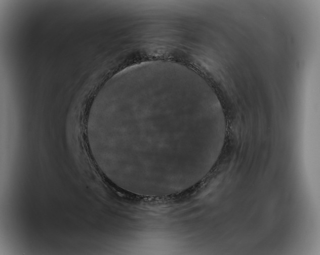 X0000089690817200707121334