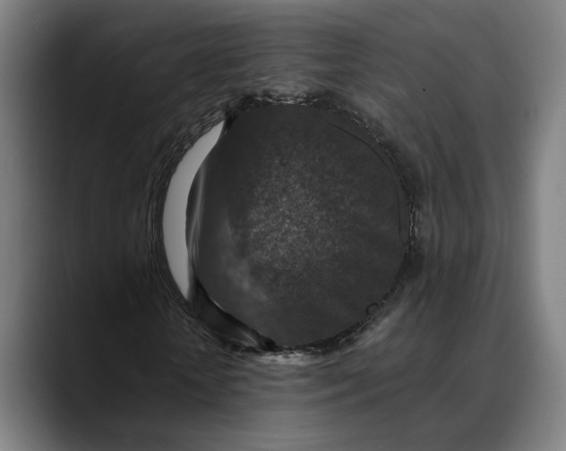 X0000089690818200707121334