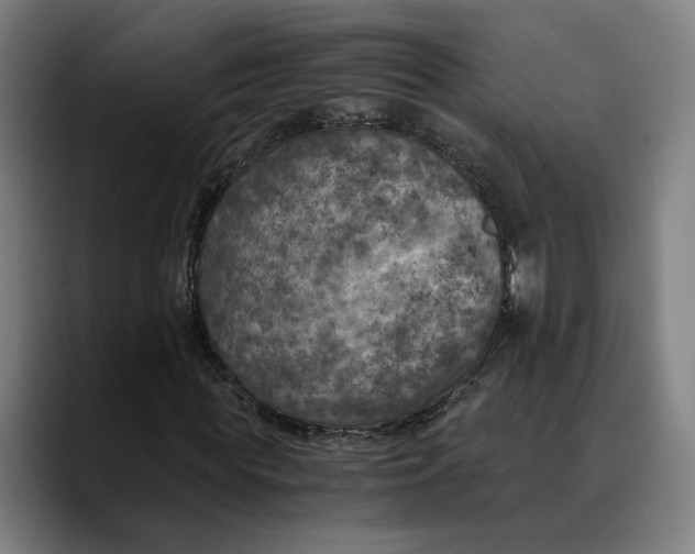 X0000089690819200707121334