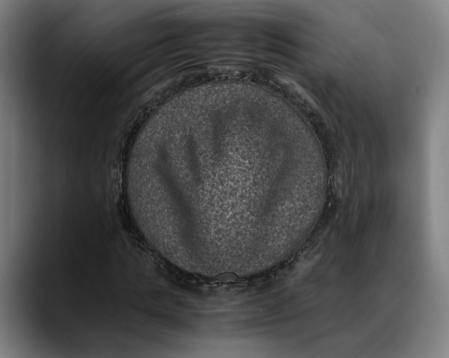 X0000089690821200707121334