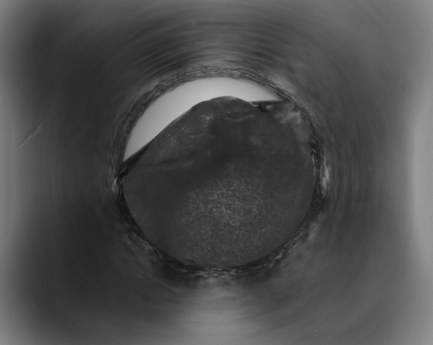 X0000089690822200707121334