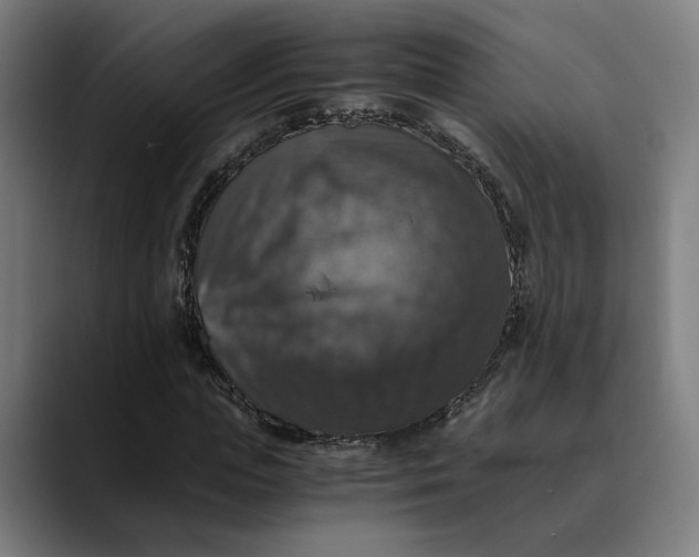 X0000089690823200707121334