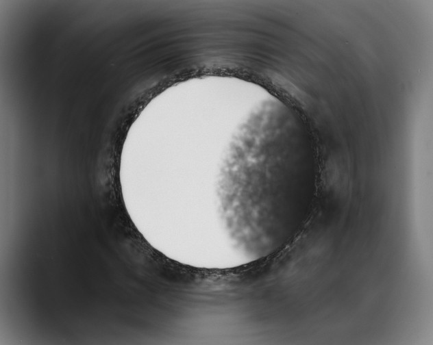 X0000089690824200707121334