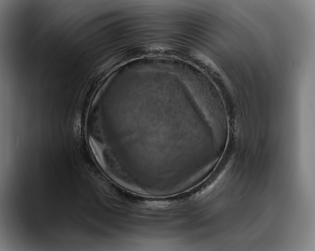 X0000089690825200707121334