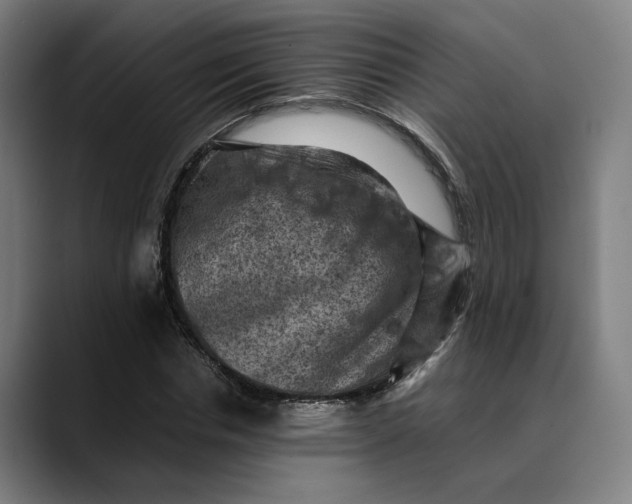 X0000089690826200707121334