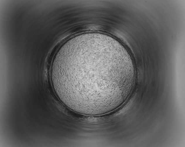 X0000089690827200707121334