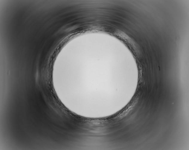 X0000089690828200707121334