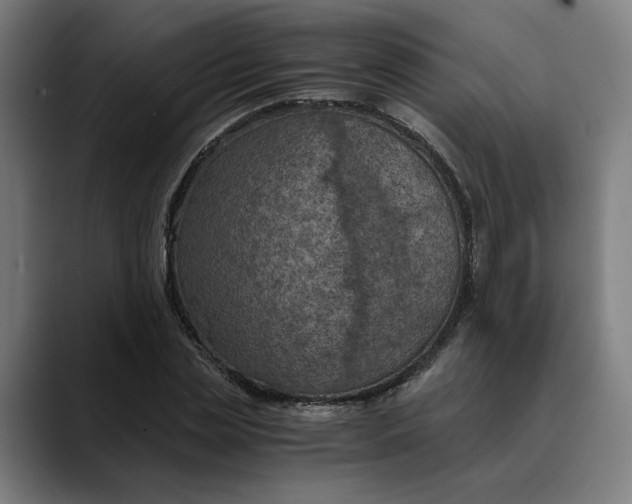 X0000089690829200707121334