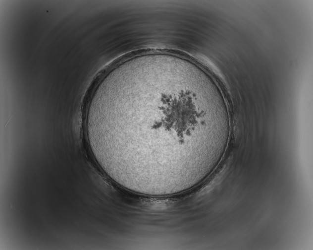 X0000089690831200707121334