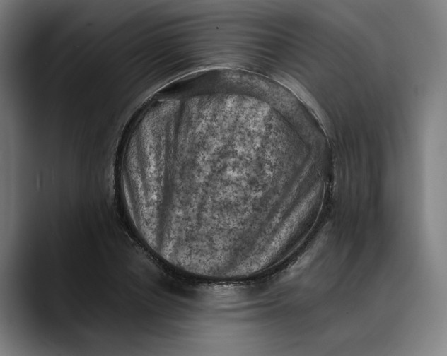 X0000089690834200707121334