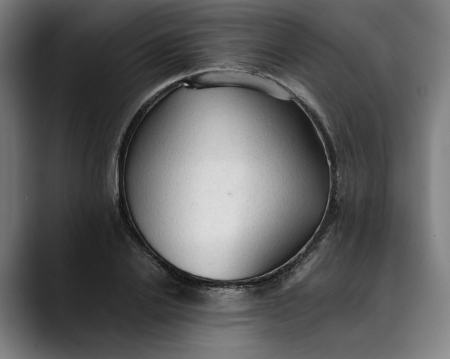 X0000089690838200707121334