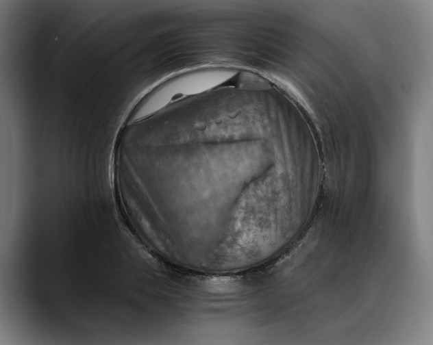 X0000089690839200707121334