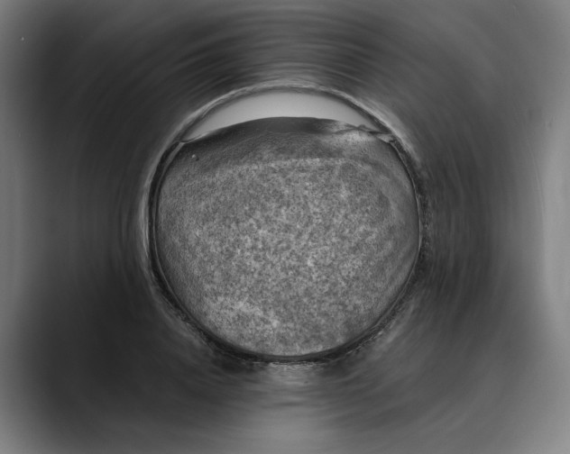 X0000089690840200707121335