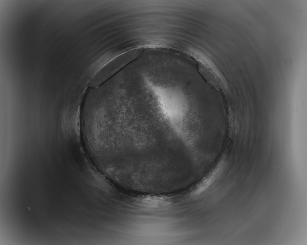 X0000089690842200707121335