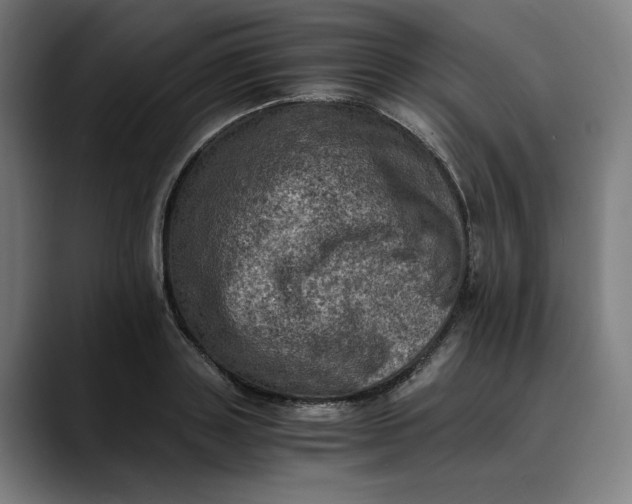 X0000089690843200707121335