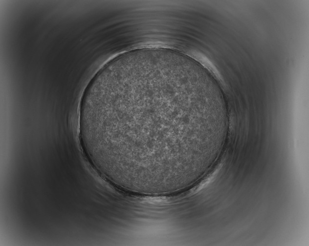 X0000089690844200707121335