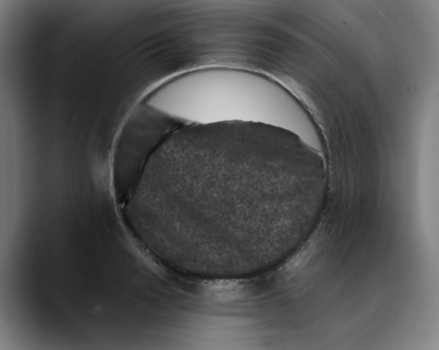 X0000089690846200707121335