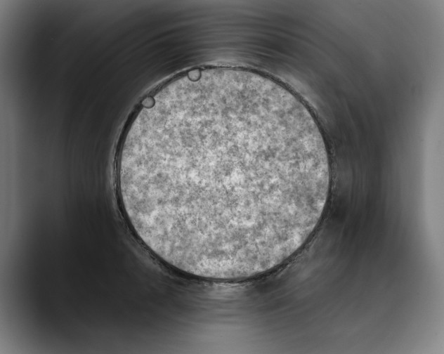 X0000089690848200707121335