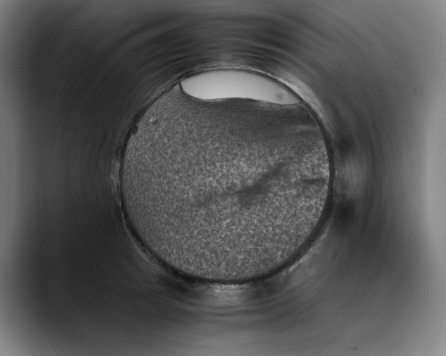 X0000089690849200707121335