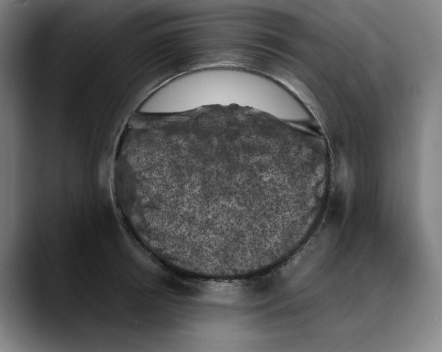 X0000089690850200707121335