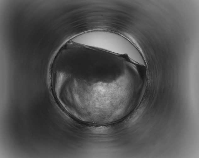 X0000089690851200707121335